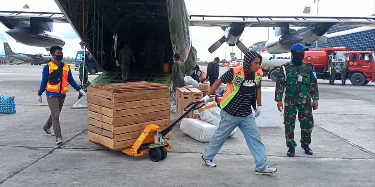 Babi bantuan Panglima TNI Marsekal Hadi Tjahjanto tiba di Bandara Mozes Kilangin Timika, Kamis (26/11/2020).